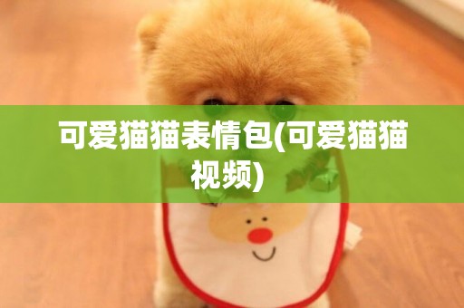 可愛貓貓表情包(可愛貓貓視頻) 