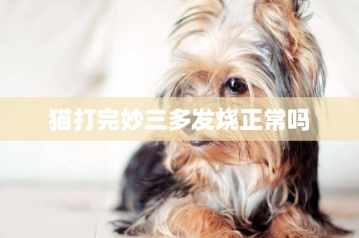 貓打完妙三多發燒正常嗎