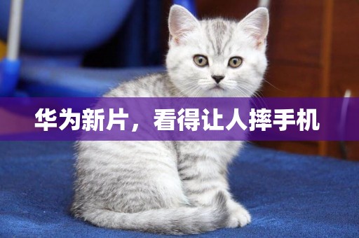 華為新片，看得讓人摔手機 