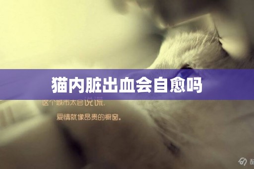貓內臟出血會自愈嗎