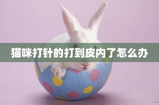 貓咪打針的打到皮內了怎么辦
