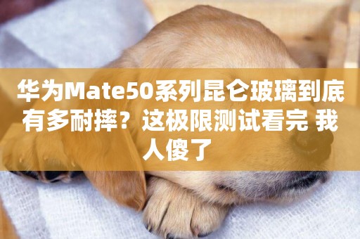 華為Mate50系列昆侖玻璃到底有多耐摔？這極限測試看完 我人傻了 