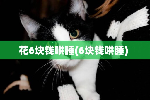 花6塊錢哄睡(6塊錢哄睡) 