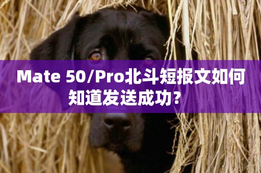 Mate 50/Pro北斗短報文如何知道發送成功？ 