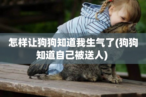 怎樣讓狗狗知道我生氣了(狗狗知道自己被送人) 