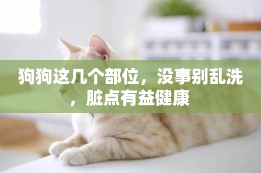狗狗這幾個部位，沒事別亂洗，臟點有益健康 