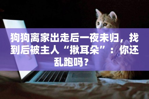 狗狗離家出走后一夜未歸，找到后被主人“揪耳朵”：你還亂跑嗎？ 