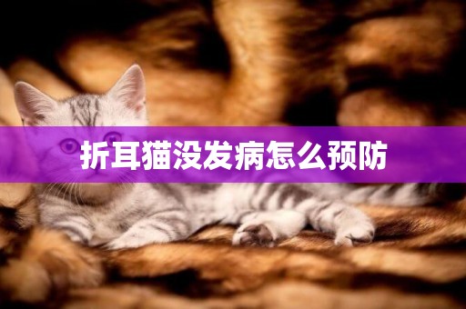 折耳貓沒發病怎么預防