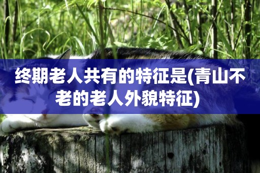 終期老人共有的特征是(青山不老的老人外貌特征) 