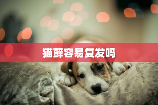 貓蘚容易復發嗎