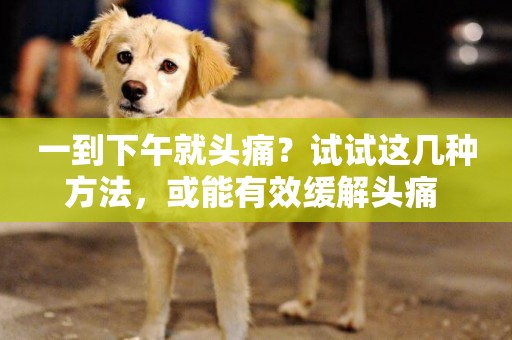 一到下午就頭痛？試試這幾種方法，或能有效緩解頭痛 