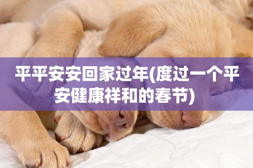 平平安安回家過年(度過一個平安健康祥和的春節) 