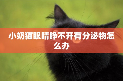 小奶貓眼睛睜不開有分泌物怎么辦