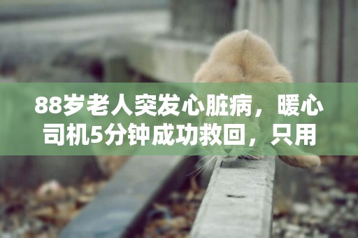 88歲老人突發心臟病，暖心司機5分鐘成功救回，只用了這一招！ 