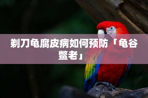 剃刀龜腐皮病如何預防「龜谷鱉老」 