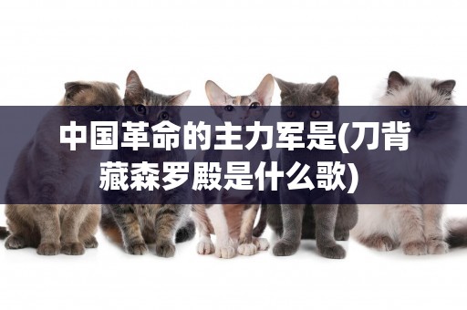 中國革命的主力軍是(刀背藏森羅殿是什么歌) 