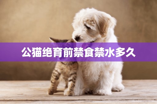 公貓絕育前禁食禁水多久