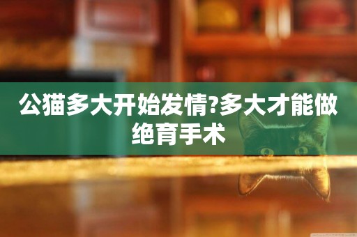 公貓多大開始發情?多大才能做絕育手術