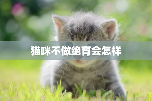 貓咪不做絕育會怎樣