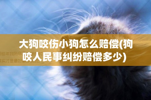 大狗咬傷小狗怎么賠償(狗咬人民事糾紛賠償多少) 