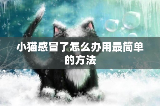 小貓感冒了怎么辦用最簡單的方法
