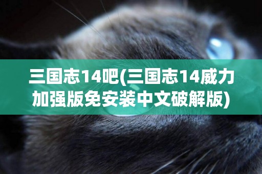 三國志14吧(三國志14威力加強版免安裝中文破解版) 
