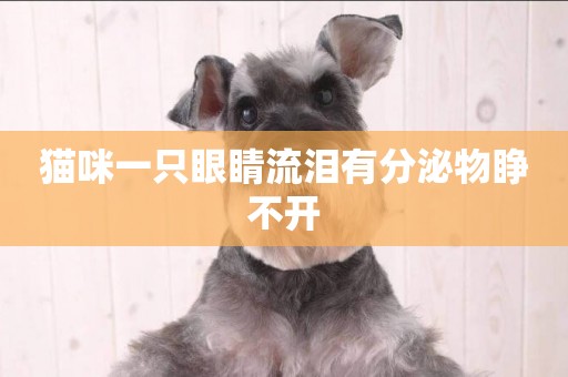 貓咪一只眼睛流淚有分泌物睜不開