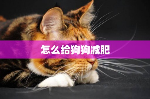 怎么給狗狗減肥