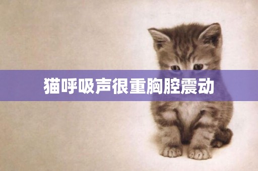 貓呼吸聲很重胸腔震動