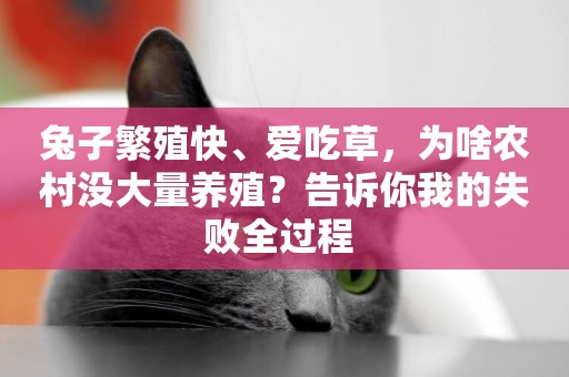 兔子繁殖快、愛吃草，為啥農村沒大量養殖？告訴你我的失敗全過程 