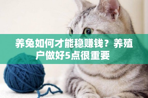 養兔如何才能穩賺錢？養殖戶做好5點很重要 