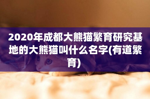 2020年成都大熊貓繁育研究基地的大熊貓叫什么名字(有道繁育) 