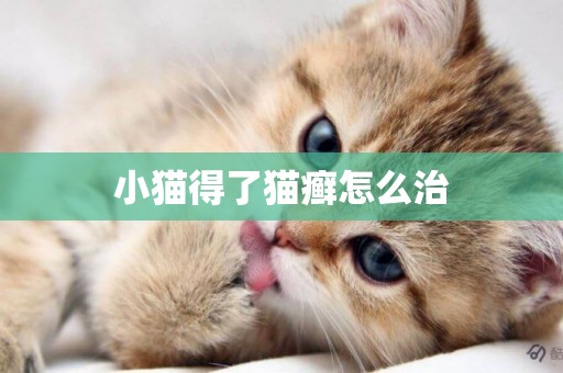 小貓得了貓癬怎么治