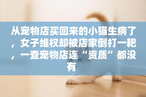 從寵物店買回來的小貓生病了，女子維權卻被店家倒打一耙，一查寵物店連“資質”都沒有 