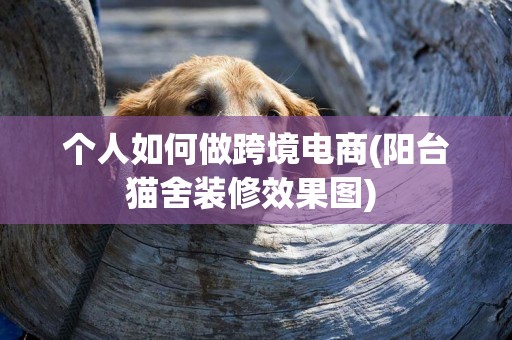 個人如何做跨境電商(陽臺貓舍裝修效果圖) 