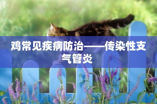 雞常見疾病防治——傳染性支氣管炎 