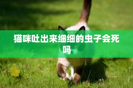 貓咪吐出來細細的蟲子會死嗎