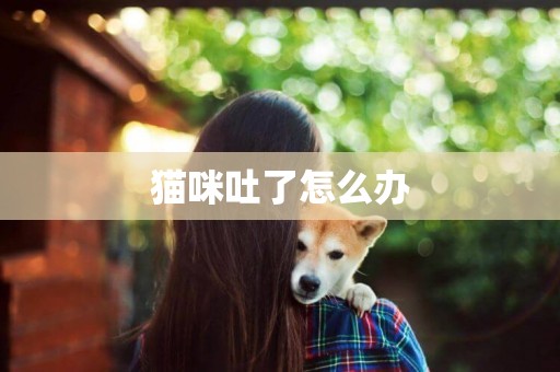 貓咪吐了怎么辦