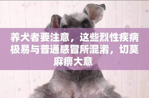 養犬者要注意，這些烈性疾病極易與普通感冒所混淆，切莫麻痹大意 