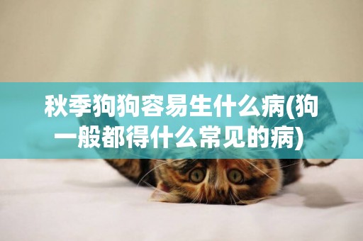 秋季狗狗容易生什么病(狗一般都得什么常見的病) 