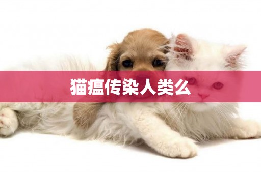 貓瘟傳染人類么