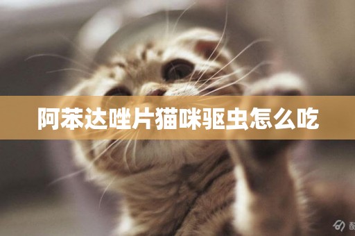 阿苯達唑片貓咪驅蟲怎么吃