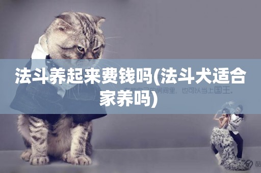 法斗養起來費錢嗎(法斗犬適合家養嗎) 