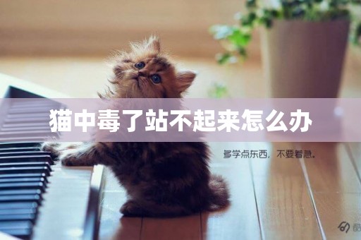 貓中毒了站不起來怎么辦