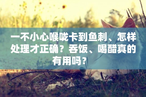 一不小心喉嚨卡到魚刺、怎樣處理才正確？吞飯、喝醋真的有用嗎？ 