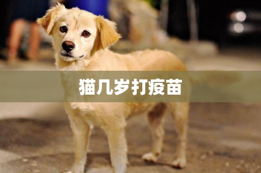 貓幾歲打疫苗