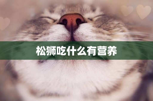 松獅吃什么有營養