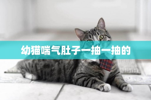幼貓喘氣肚子一抽一抽的