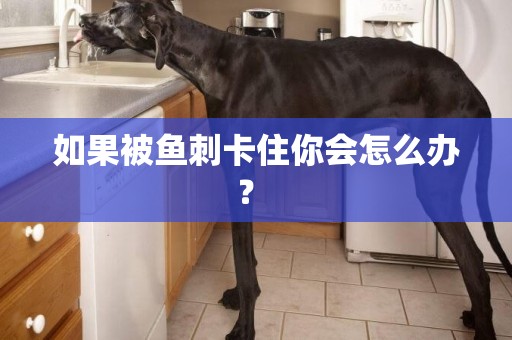 如果被魚刺卡住你會怎么辦？ 