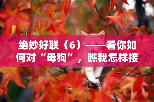 絕妙好聯（6）——看你如何對“母狗”，瞧我怎樣接“能手” 